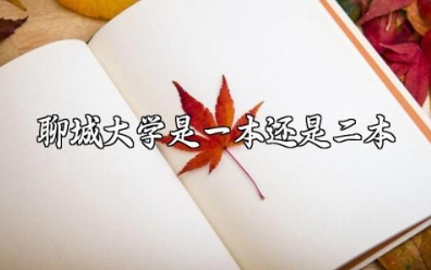聊城大学是一本还是二本 聊城大学最好的六个专业