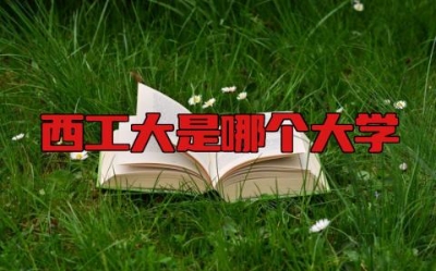 西工大是哪个大学  西工大是985还是211学校