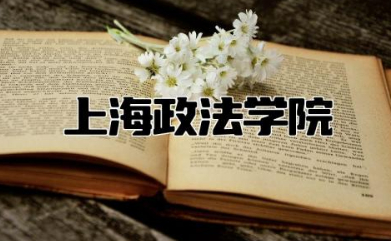 上海政法学院是985还是211 上海政法学院的含金量如何