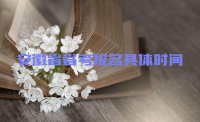 安徽省省考报名具体时间2024 安徽省省考报名条件要求