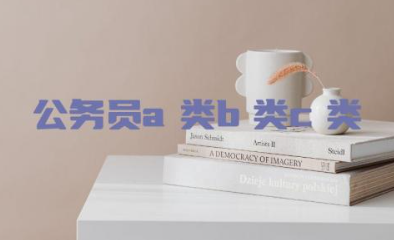公务员a类b类c类是什么意思 公务员A类B类C类区别有什么