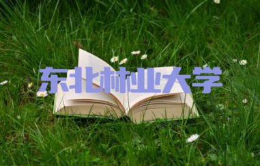 东北林业大学是985大学还是211学校 东北林业大学算名牌大学吗