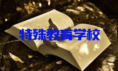 特殊教育学校招收哪类的学生 特殊教育学校是啥学校类型