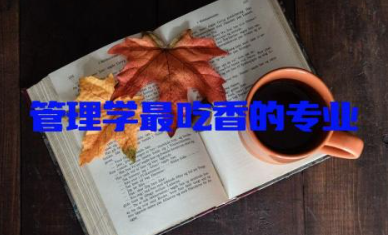 管理学最吃香的专业有哪些 管理学相关的热门专业有哪些