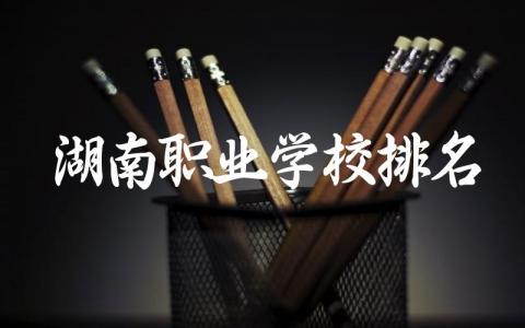 湖南职业学校排名前十公办高中 湖南职业高中录取线是多少