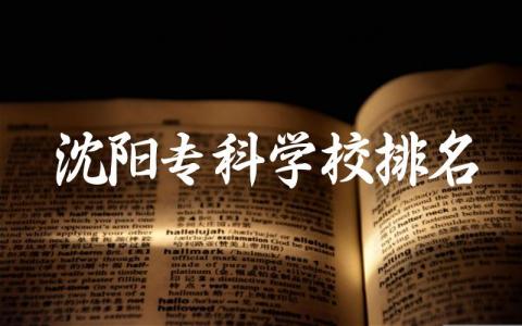 沈阳专科学校排名前五名 2024沈阳专科学校录取分数线