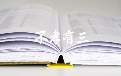 不孝有三无后为大的解释 该成语在现代社会的意义