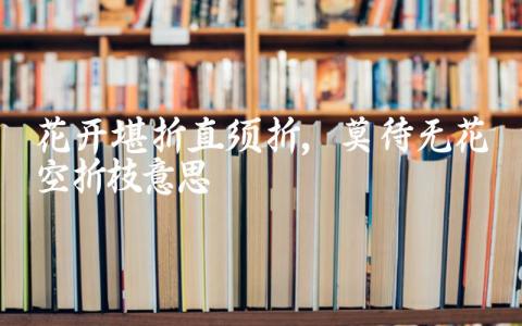 这句诗的具体含义是什么 如何理解这句诗的人生哲理