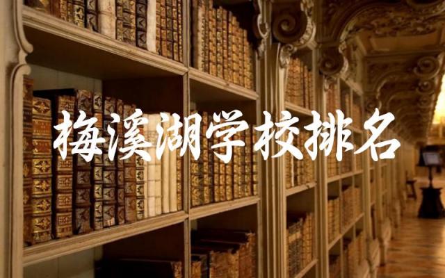 梅溪湖学校排名前五名有哪些 梅溪湖学校师资力量如何