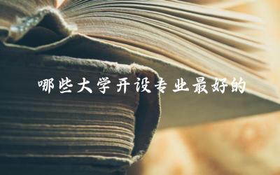 哪些大学开设专业最好的 大学有几个专业可选