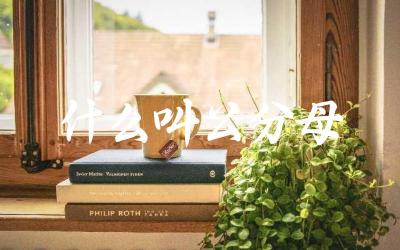 公分母的定义与概念 在数学中的应用与求解