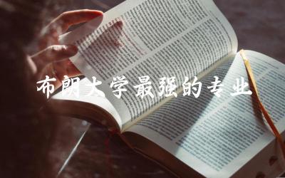 美国布朗大学最强的专业是什么 布朗大学留学条件及费用情况