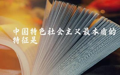 中国特色社会主义的核心特征 如何理解这一本质特征