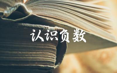 负数的定义与基本性质 负数在日常生活中的应用实例
