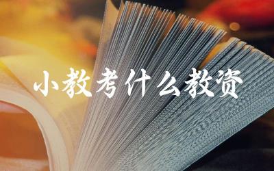 小学教师主要可以报考哪些教师资格证 哪个科目更适合小学教师