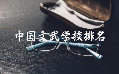 中国文武学校排名前三名单 孩子上武校有出路吗