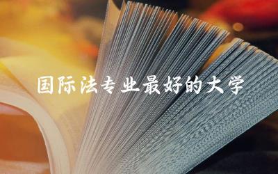 国际法专业最好的大学是哪所 国际法专业在国际上的认可度如何