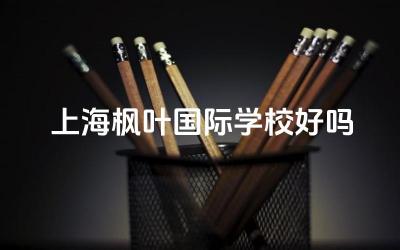 上海枫叶国际学校的国际化教育水平 师资力量与教学资源