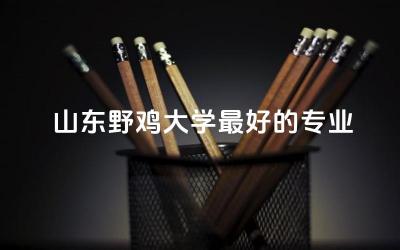 山东野鸡大学最好的专业是啥 野鸡大学学历国家承认吗