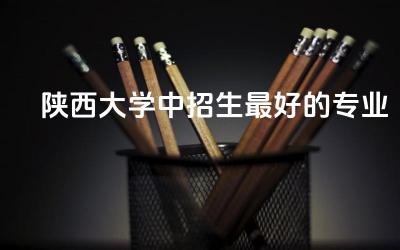 陕西大学中招生最好的专业是什么 陕西大学属于什么档次
