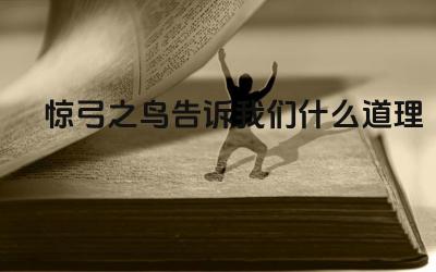 惊弓之鸟告诉我们什么道理 恐惧与心理创伤的启示