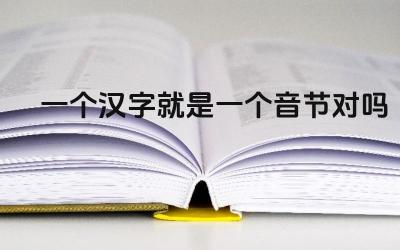 一个汉字就是一个音节对吗 汉字音节特性的探讨