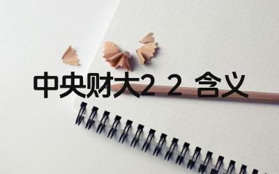2024年中央财大2+2项目是什么意思 该项目的课程设置如何