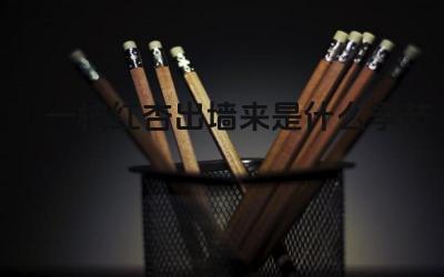 一枝红杏出墙来是什么季节 这句诗的含义是什么