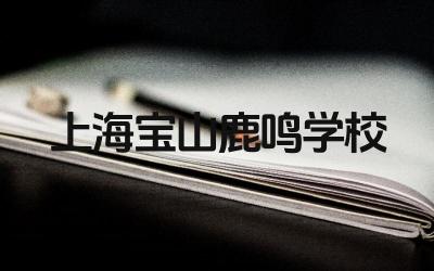 上海宝山鹿鸣学校好吗 上海宝山鹿鸣学校的教学理念是什么