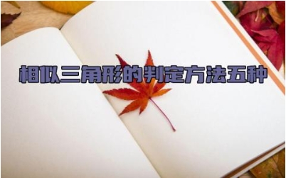 相似三角形的判定方法五种 相似三角形面积怎么算