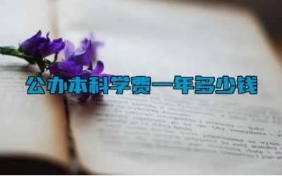 公办本科学费一年多少钱 公办本科和民办本科有什么区别