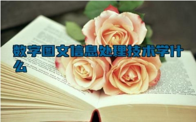 数字图文信息处理技术学什么 数字图文信息处理技术就业方向有哪些