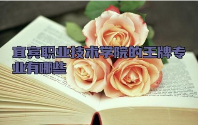 宜宾职业技术学院的王牌专业有哪些 宜宾职业技术学院在哪个城市