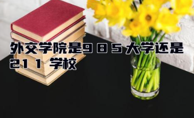 外交学院是985大学还是211学校 外交学院有研究生吗