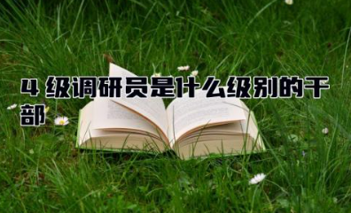 4级调研员是什么级别的干部 公务员中四级调研员的条件