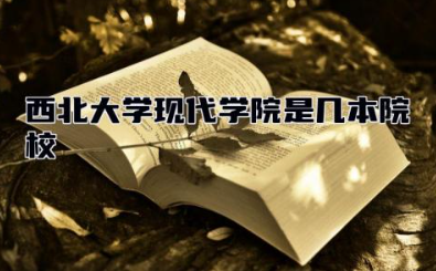 西北大学现代学院是几本院校 西北大学现代学院最好的专业