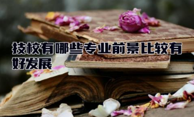 技校有哪些专业前景比较有好发展 初中没毕业可以上技校吗