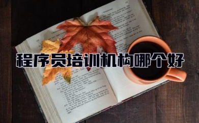 程序员培训机构哪个好 程序员要读什么专业