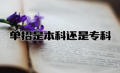 单招是本科还是专科 高三走单招好还是高考好