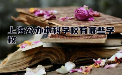 上海公办本科学校有哪些学校 本科学校有单招吗