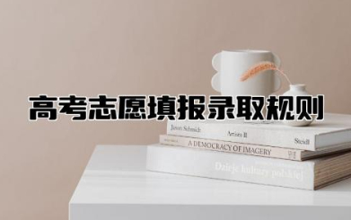 高考志愿填报录取规则 高考志愿怎么填报最好