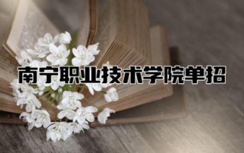 南宁职业技术学院单招专业 南宁职业技术学院单招申报流程