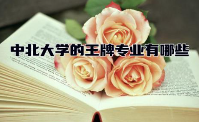 中北大学的王牌专业有哪些 中北大学是个什么档次的大学