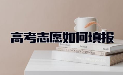 高考志愿如何填报 高考志愿一般什么时候填报