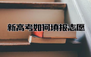 新高考如何填报志愿 网上填报志愿的方法步骤
