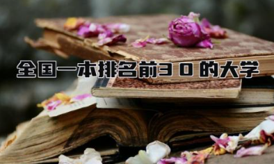 全国一本排名前30的大学 一本大学学费一年多少钱