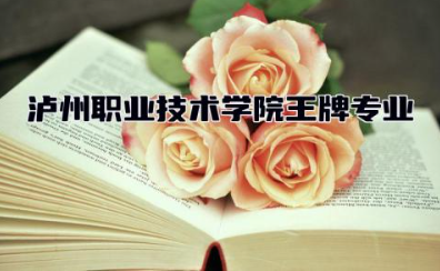 泸州职业技术学院王牌专业 泸职院是公立还是私立
