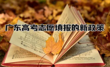 2024广东高考志愿填报的新政策 广东高考志愿专业组是什么意思