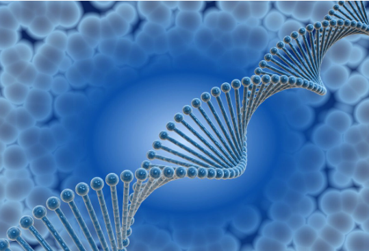 学科教学生物考研学校排名 生物最厉害的四个专业是什么