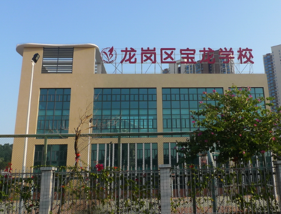 龙岗宝龙学校排名第几 龙岗区重点小学有哪些